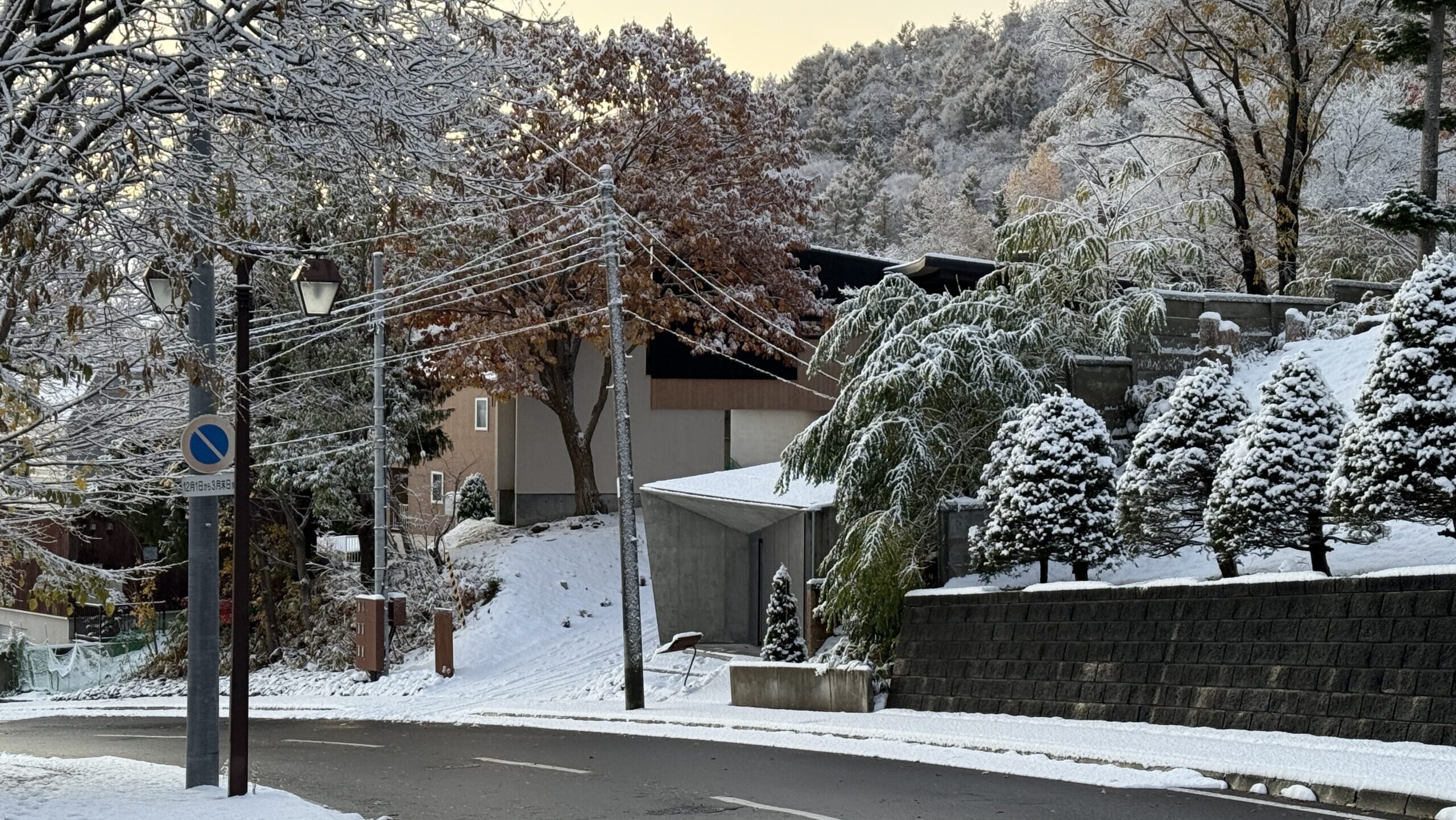 La Cave Petite-Forêt（プティット フォレ）北海道藻岩山麓にある完全予約制のワインショップ